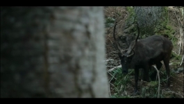 Vikings Valhalla - Season 02 Episode 06